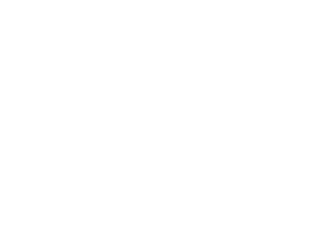 Concho Valley Home for Girls logo